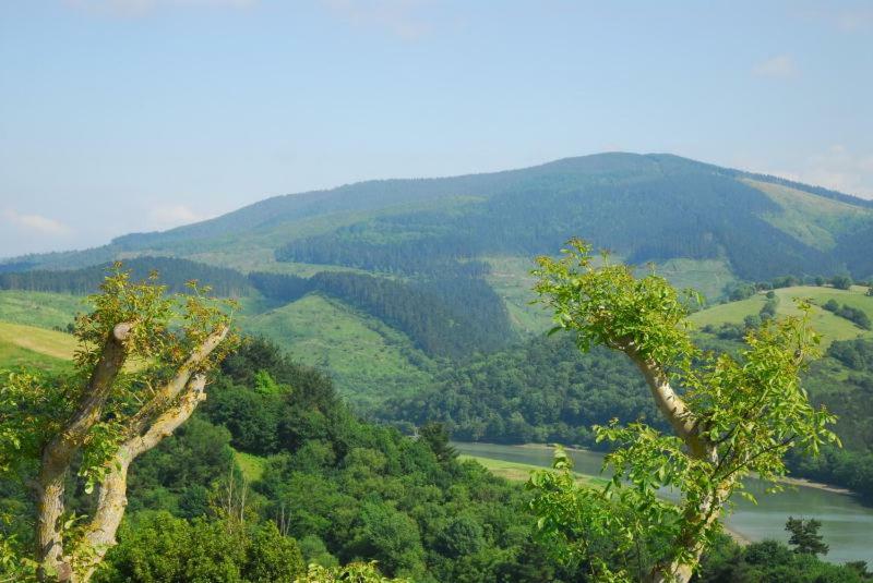 Casa Rural Erretzabal Txiki Orio Dış mekan fotoğraf